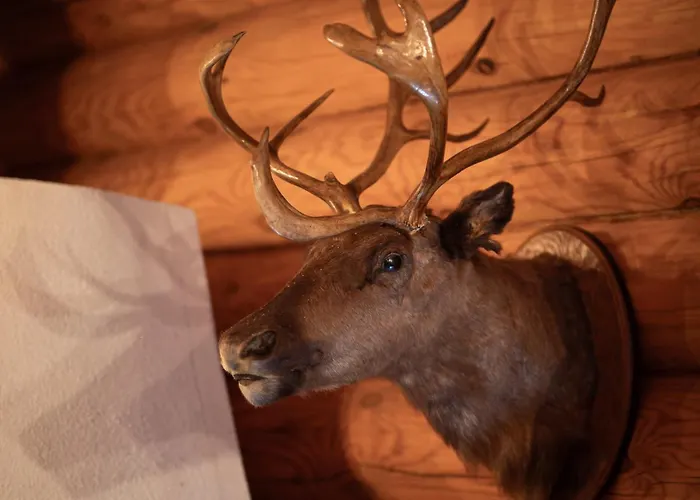 Relaxclub Kersko Lodge *